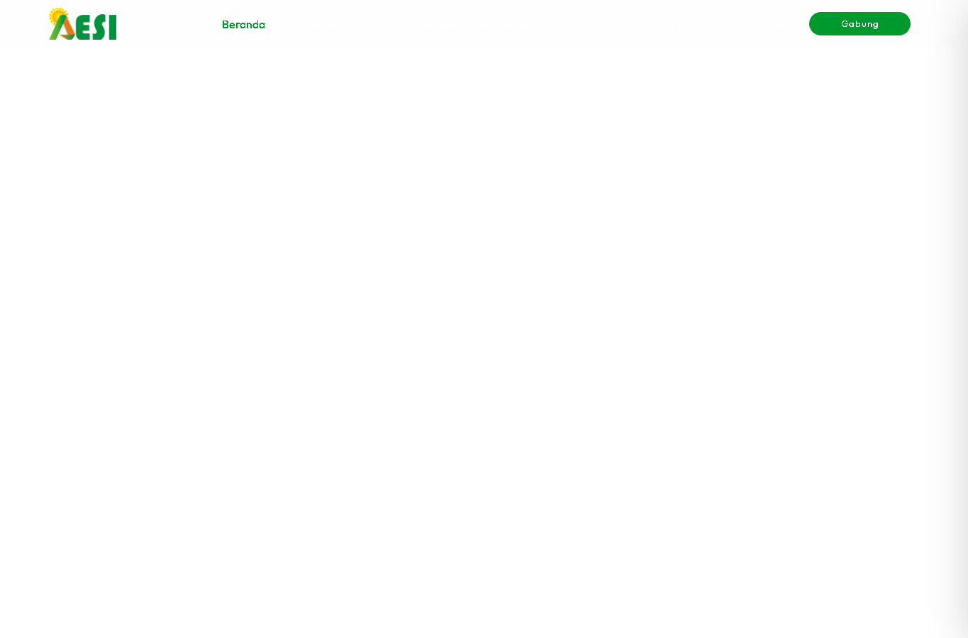 AESI website screenshot