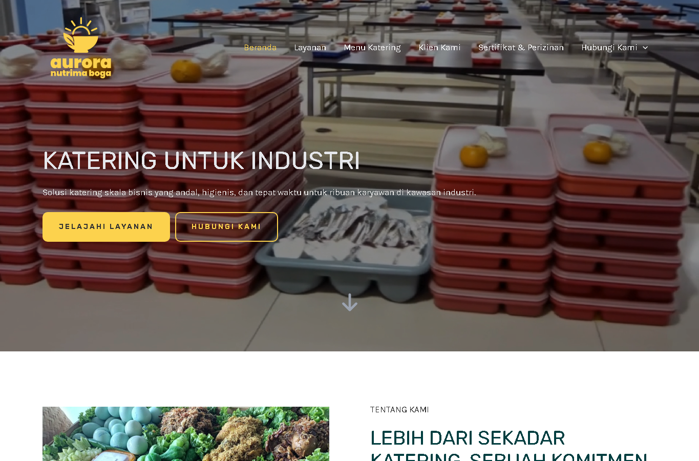 Aurora Nutrima website screenshot